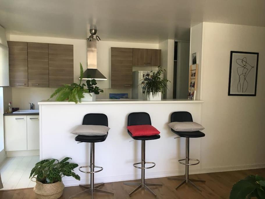 Appartement 55 M2 Le Chesnay Le Chesnay  Exterior photo