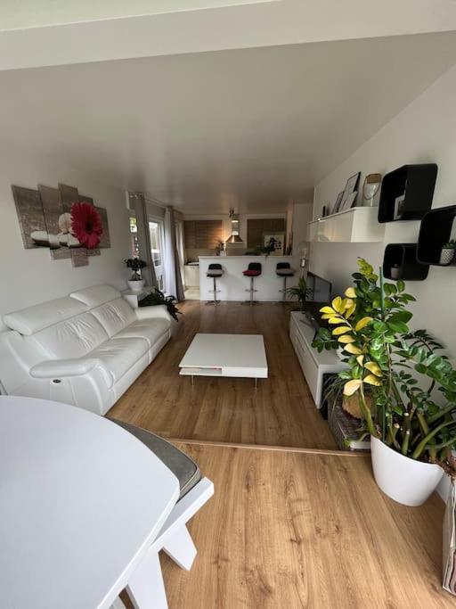 Appartement 55 M2 Le Chesnay Le Chesnay  Exterior photo